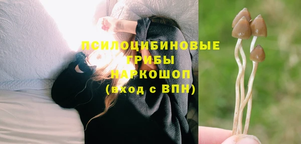 jwh Краснослободск