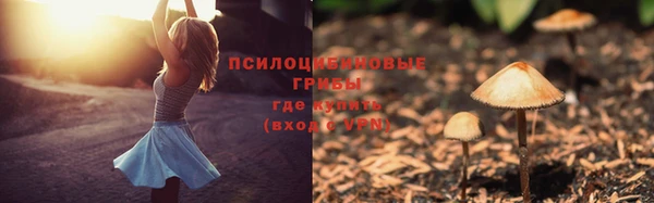 jwh Краснослободск