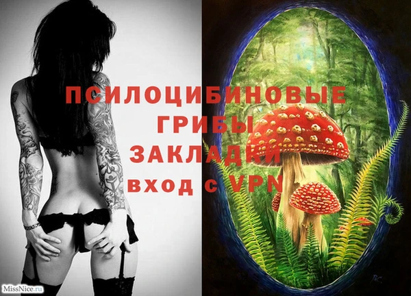 jwh Краснослободск