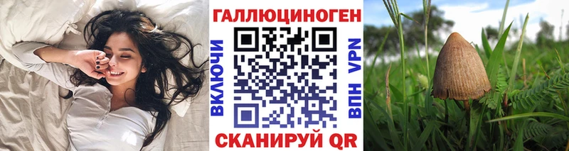 Псилоцибиновые грибы Psilocybe Купить закладки Ялуторовск